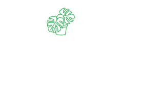 Yucatán at Home