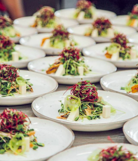 Microgreens in dishes