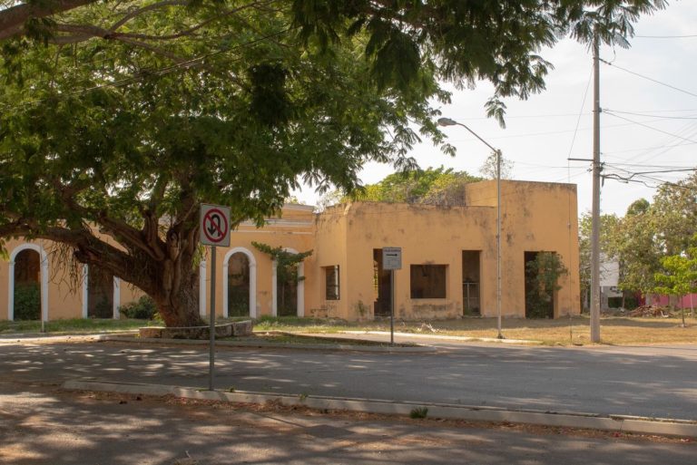 Mérida’s road rules: When can you cut down a tree?