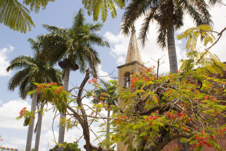 Santa Ana: Parque, mercado e iglesia al centro de Mérida